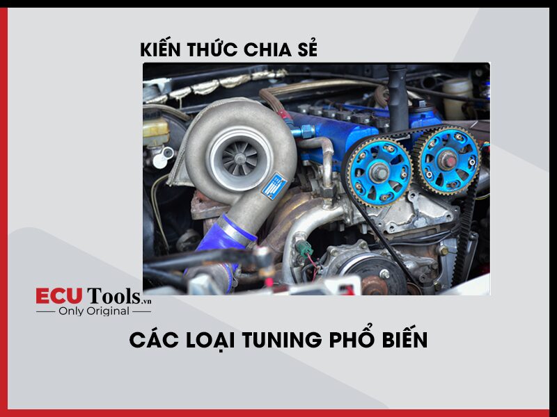 cac loai tuning pho bien avatar