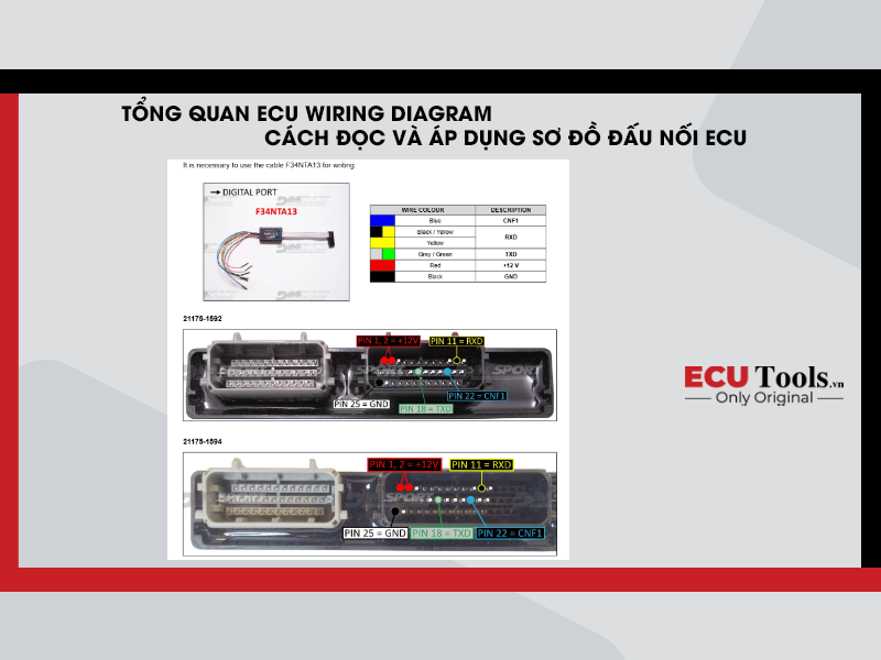 Tong quan ECU Wiring Diagram 1