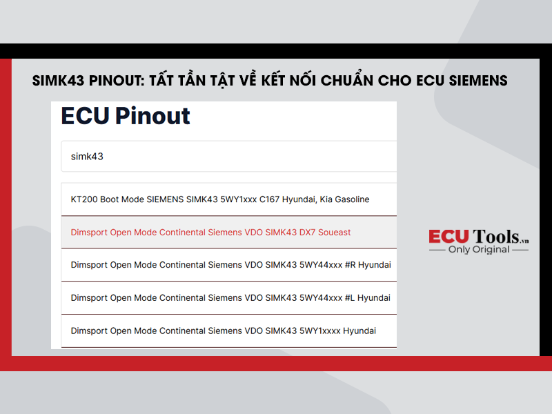 SIMK43 Pinout 1