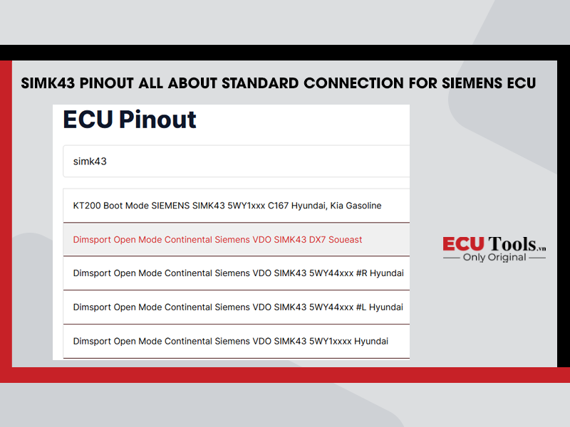 SIMK43 Pinout All About Standard Connection For Siemens ECU