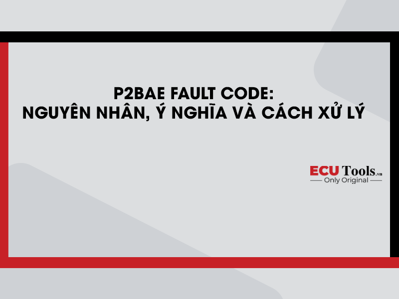 P2BAE Fault Code Nguyen nhan y nghia va cach xu ly 1