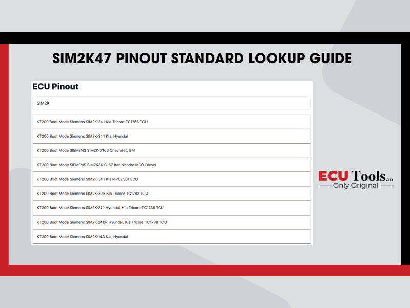 SIM2K47 Pinout Standard Lookup Guide
